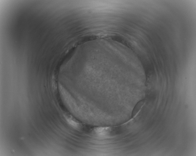 X0000068740136200605121554