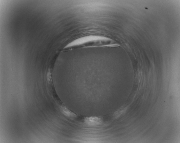 X0000068740137200605121553