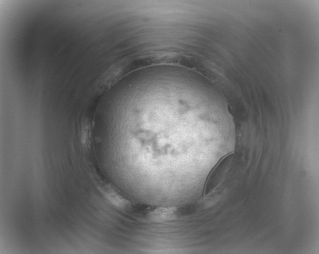 X0000068740138200605121553