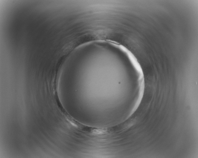 X0000068740139200605121553