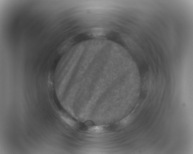 X0000068740140200605121553