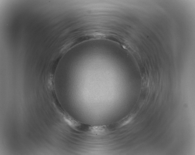 X0000068740141200605121553