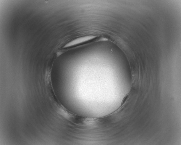 X0000068740142200605121553