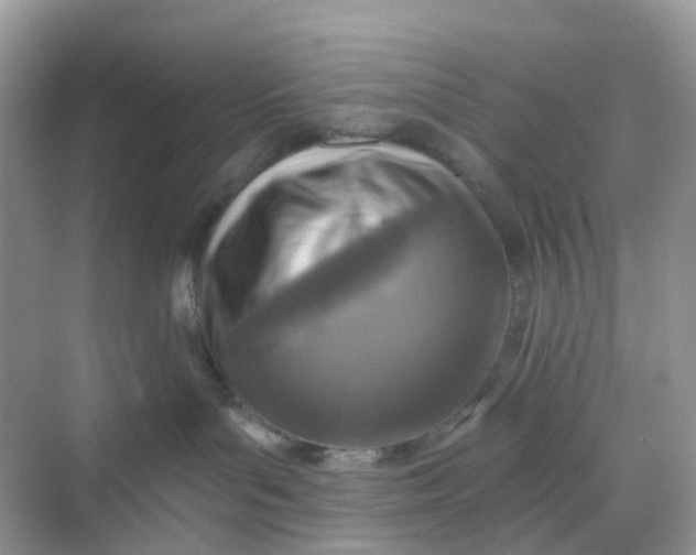 X0000068740143200605121553