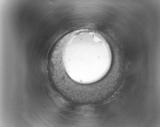 X0000068740146200605121553