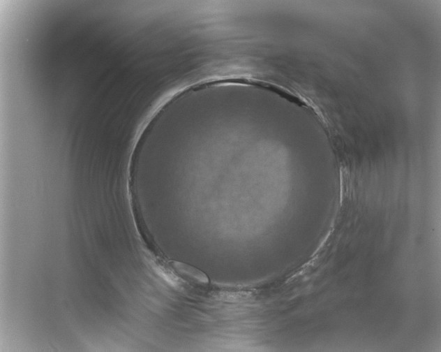 X0000068740147200605121553