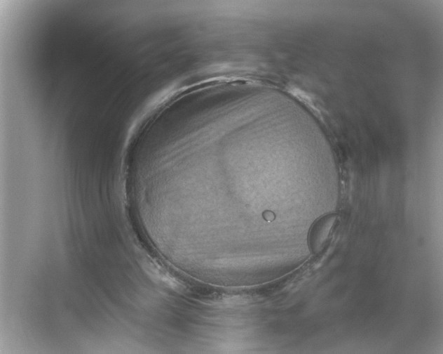 X0000068740149200605121553