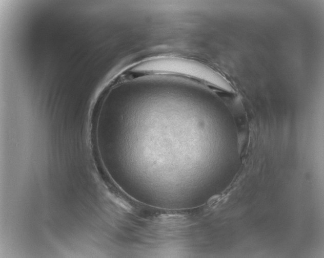 X0000068740150200605121553