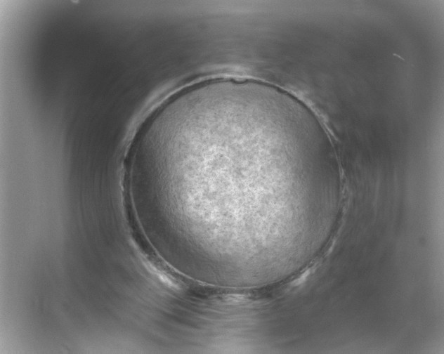 X0000068740151200605121553