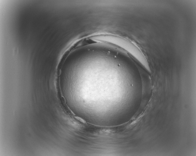 X0000068740152200605121553