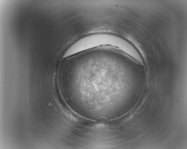 X0000068740153200605121553