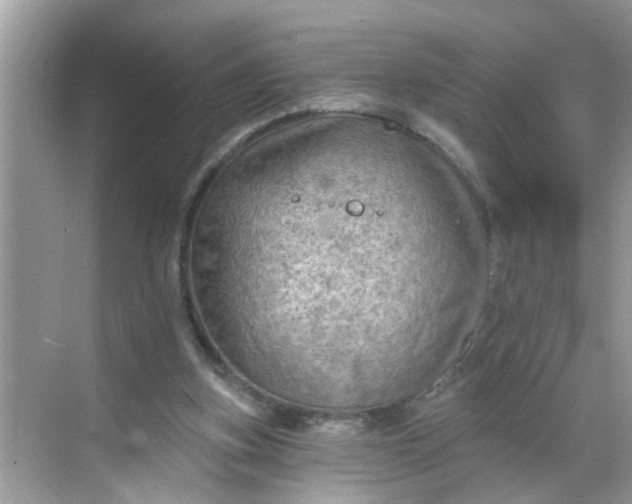 X0000068740155200605121553