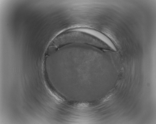 X0000068740156200605121553