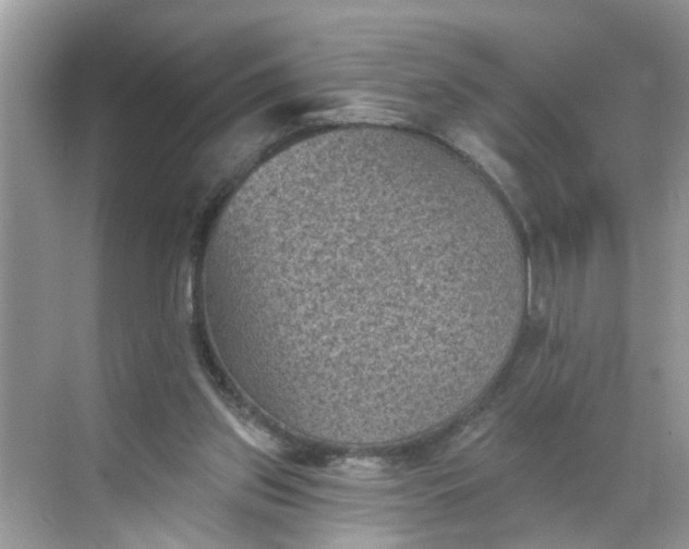 X0000068740157200605121553