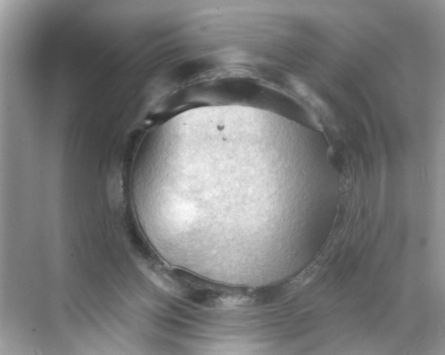 X0000068740158200605121553