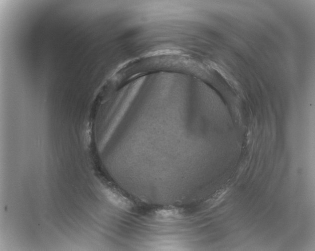 X0000068740160200605121553