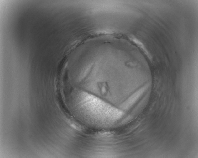 X0000068740161200605121553