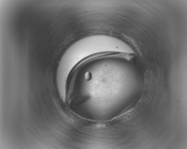 X0000068740162200605121553