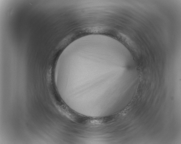 X0000068740163200605121553