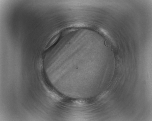 X0000068740164200605121553