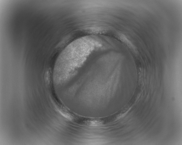 X0000068740165200605121553