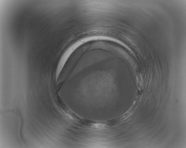 X0000068740168200605121553