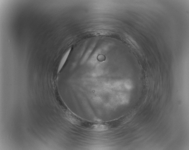 X0000068740169200605121553