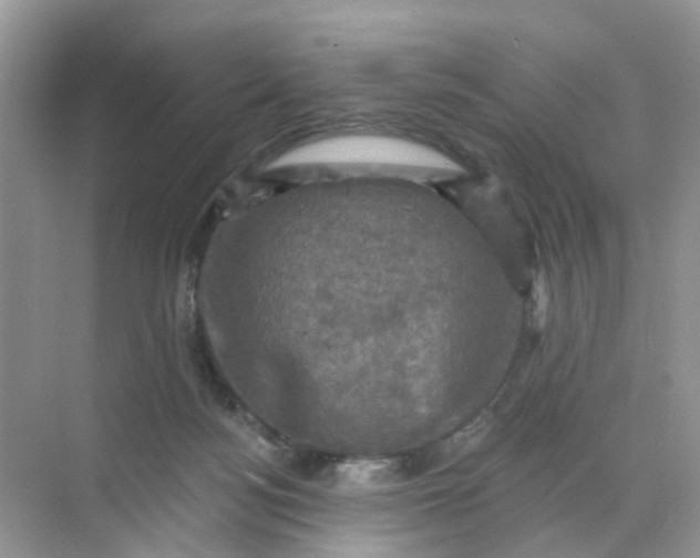 X0000068740172200605121553