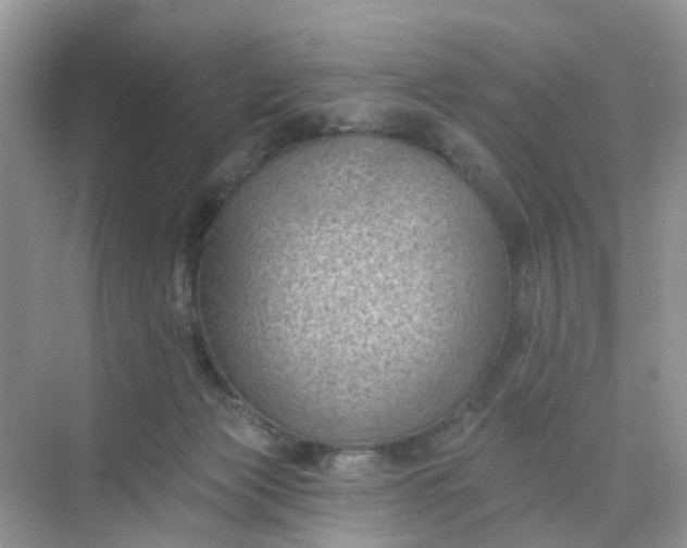 X0000068740173200605121553