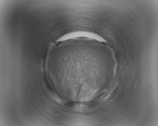 X0000068740174200605121553