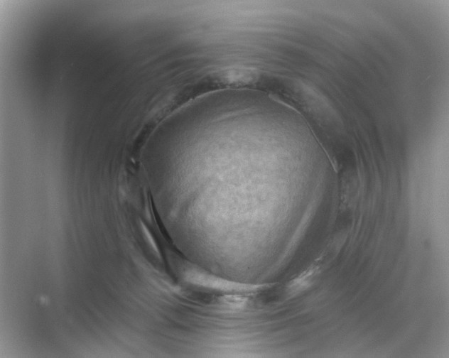 X0000068740176200605121553