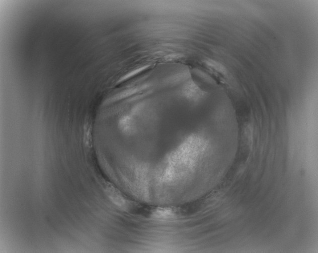 X0000068740177200605121553