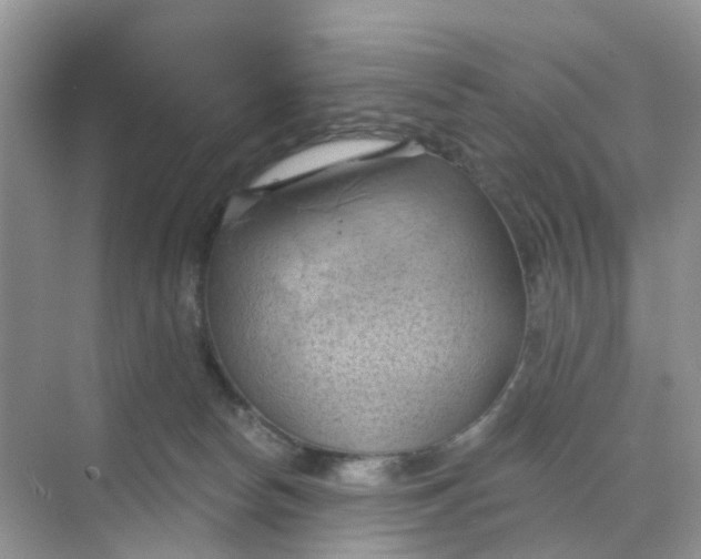 X0000068740178200605121553