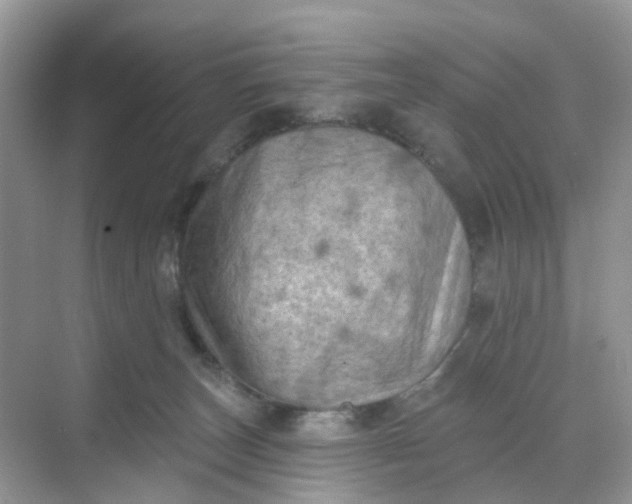 X0000068740179200605121553