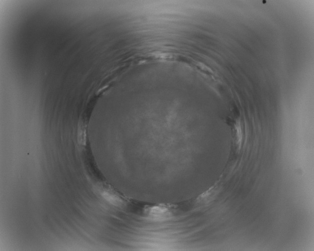 X0000068740180200605121553