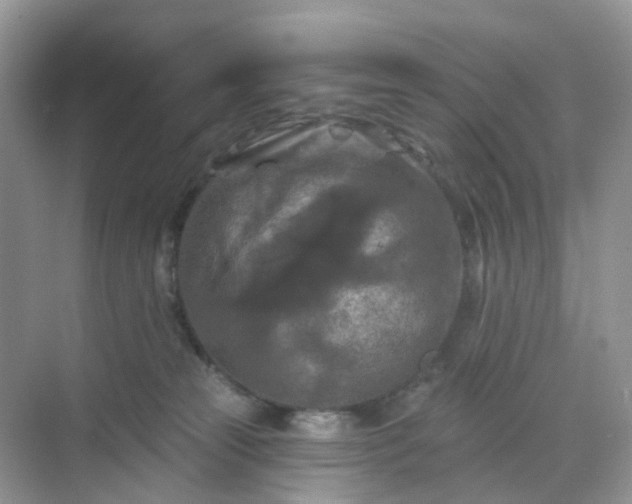 X0000068740181200605121553