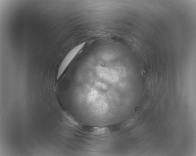 X0000068740185200605121553