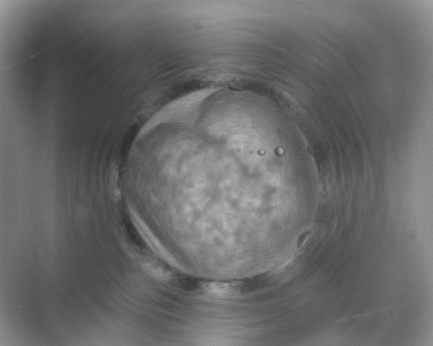 X0000068740187200605121553