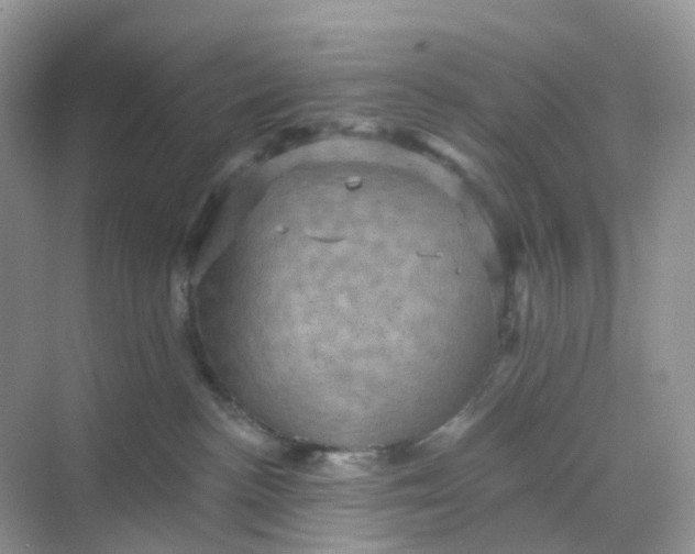 X0000068740188200605121553