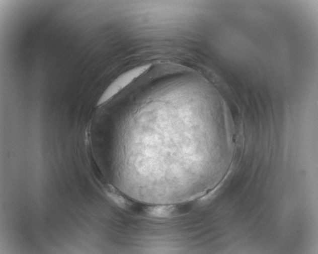 X0000068740191200605121553