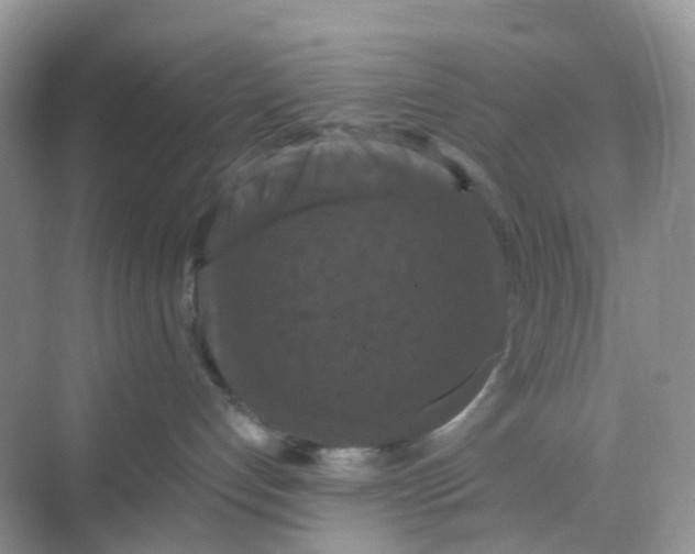 X0000068740192200605121553