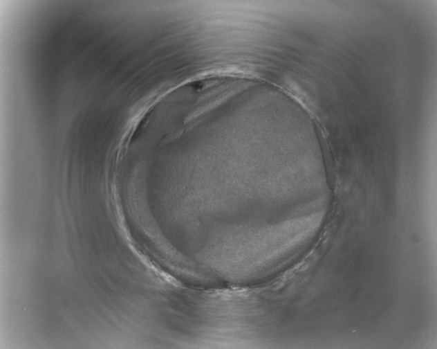 X0000068740193200605121553