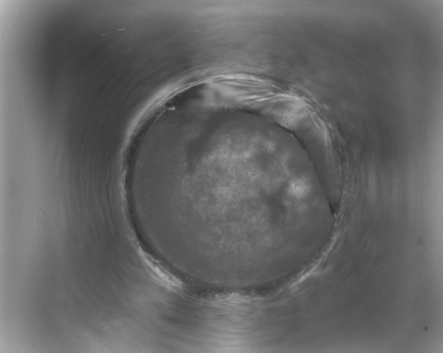 X0000068740197200605121552