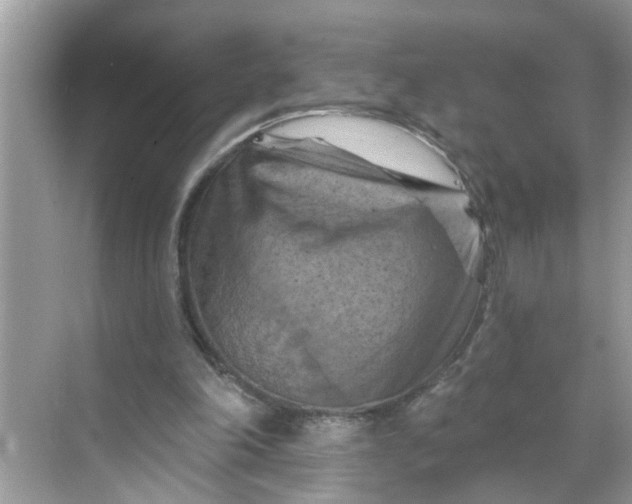 X0000068740198200605121552