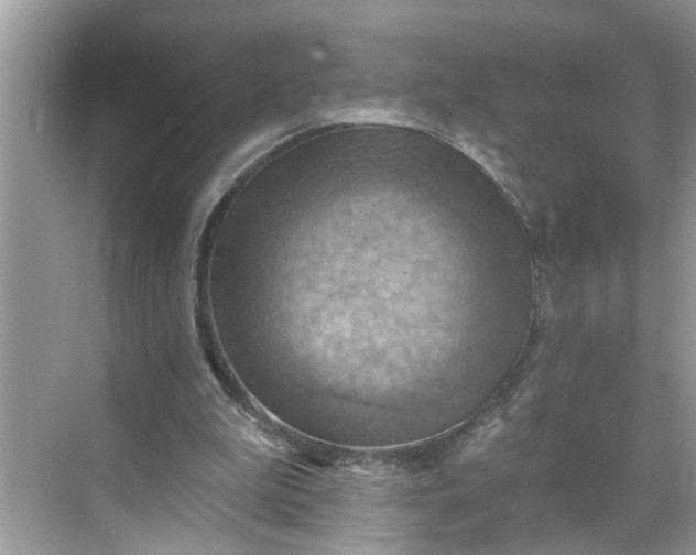 X0000068740199200605121552