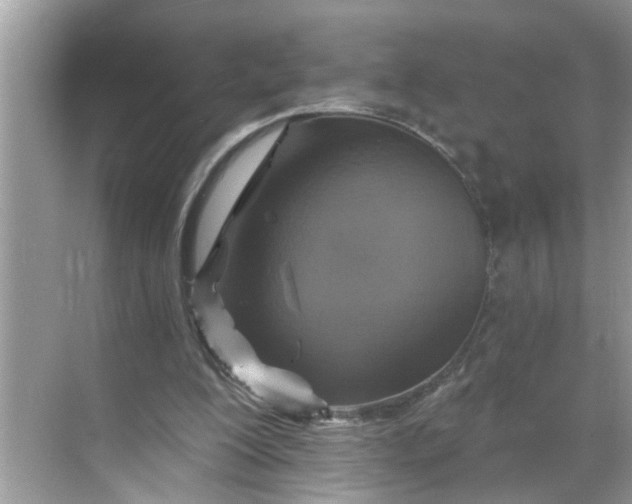 X0000068740200200605121552