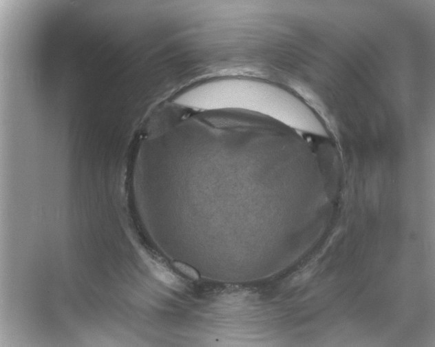 X0000068740201200605121552