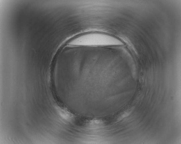 X0000068740204200605121552