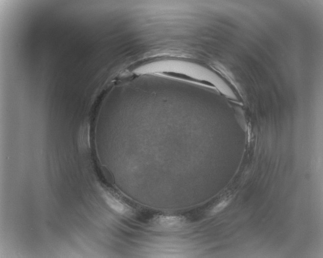 X0000068740205200605121552