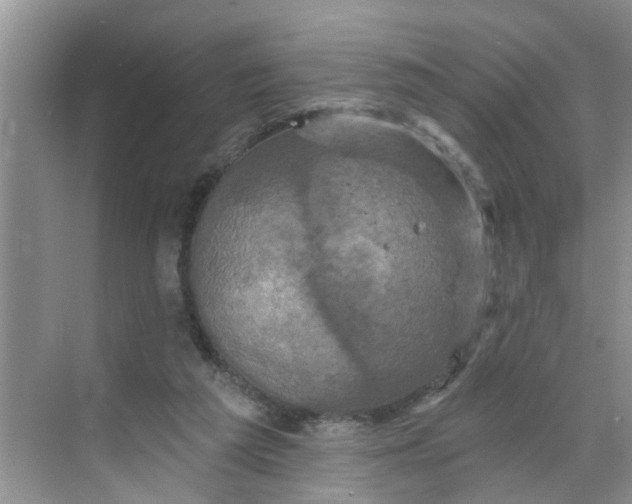 X0000068740209200605121552